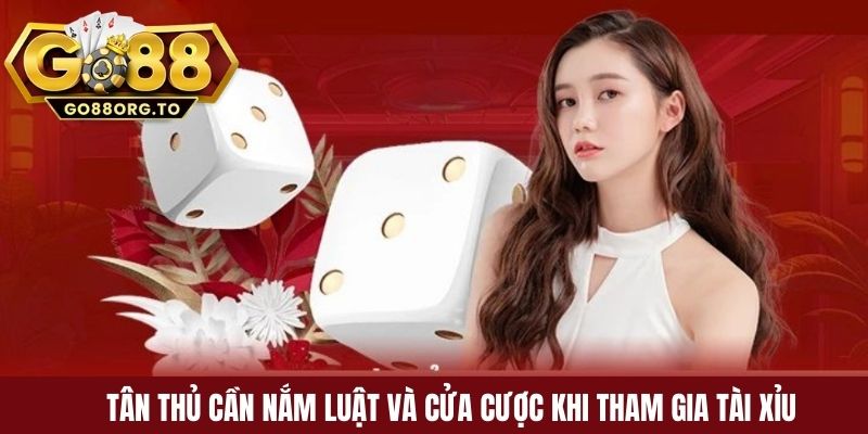 Tân thủ cần nắm luật và cửa cược khi tham gia tài xỉu