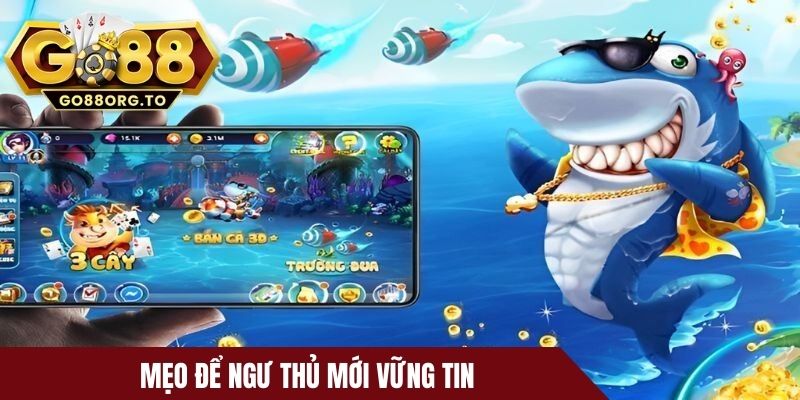 Mẹo để ngư thủ mới vững tin khi thao tác